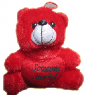 Red Teddy Bear @ Rs 99 worth of Rs 199