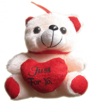 Sweet Teddy Bear with Heart